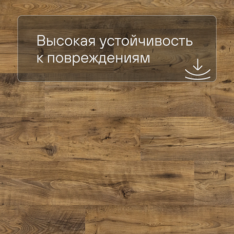 QS Second choice Alpha BLOS BASE  SPE40029 - AVSPT 40029 Каштан винтажный натуральный (фото 5)