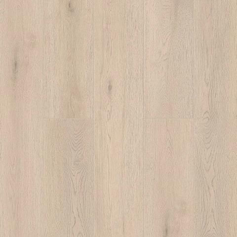 Norland Sigrid Plus SPC (CH) 1006-7 Alante 4V 43кл (фото 1)